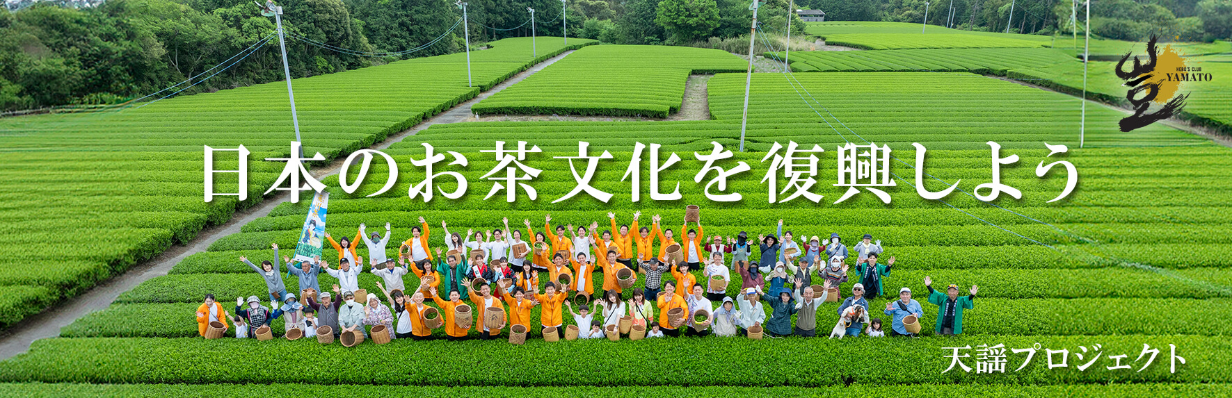 日本のお茶文化を復興しよう