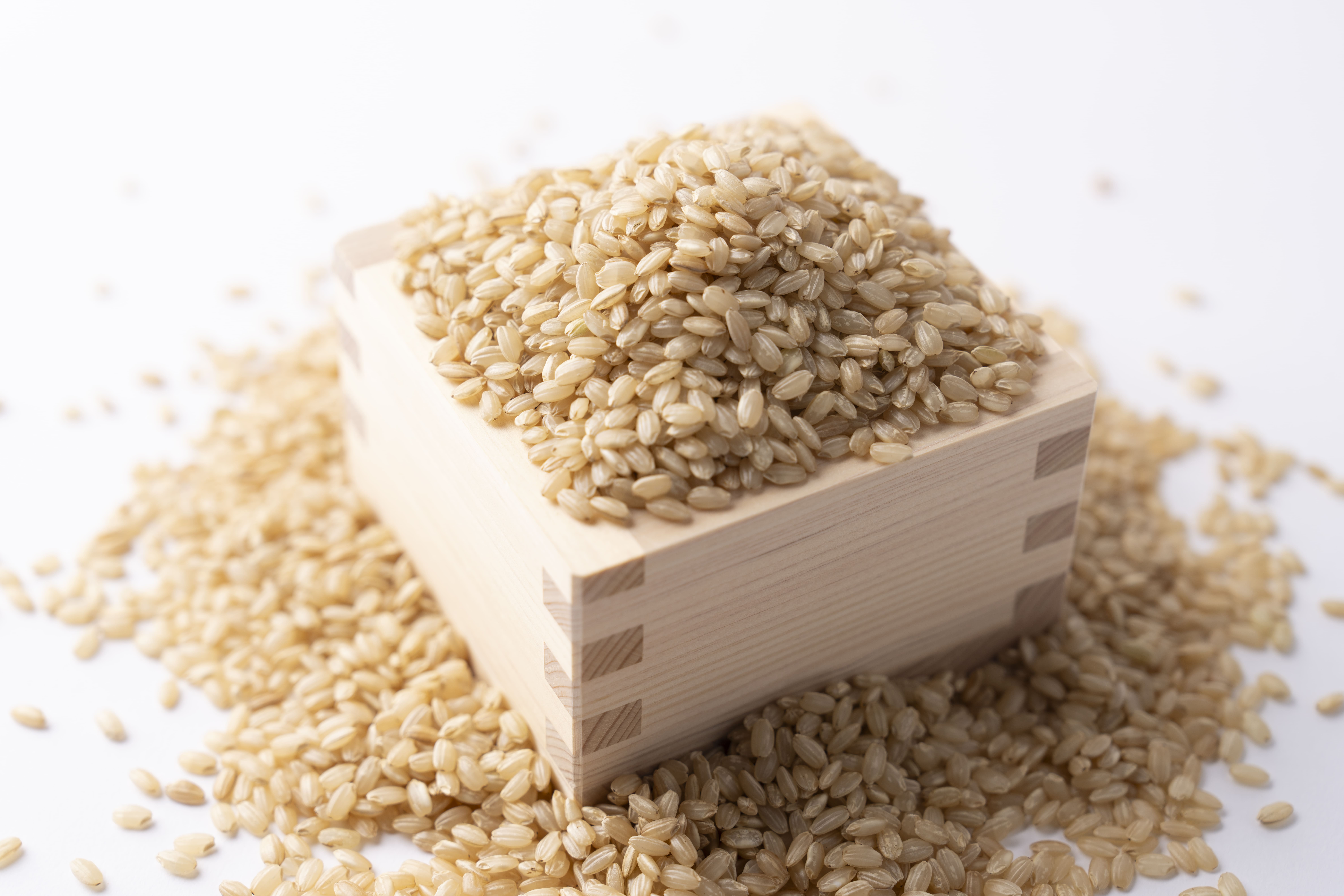 令和5年度【栃木県】奇跡のお米 神宝米（かむたからまい）玄米