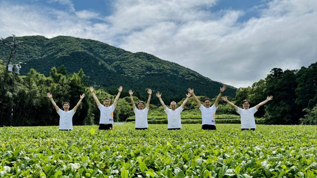 有機屋久島茶　天謡（あまうた）　ガジュツ緑茶