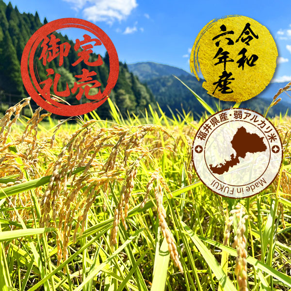 【完売御礼】令和6年度【福井 弱アルカリ】奇跡のお米 神宝米（かむたからまい）