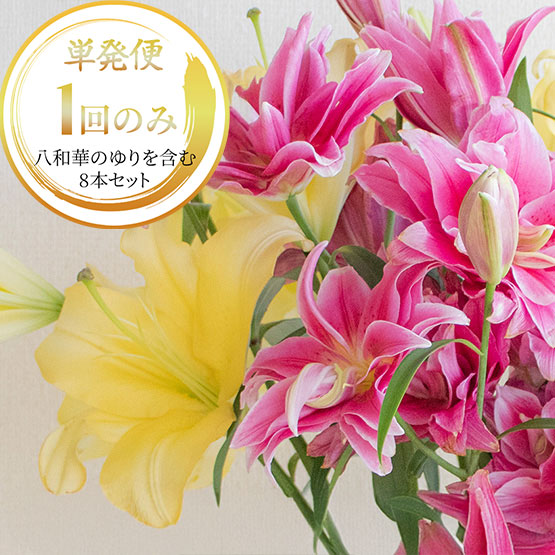 「八重ゆり・オリエンタルゆり」8本セット