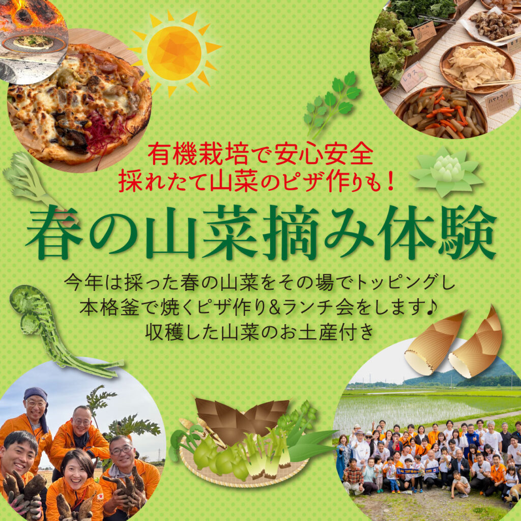 2026年4月24日 春の山菜収穫体験＆ピザつくり体験