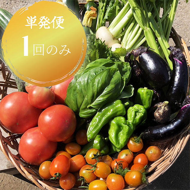 【単発便】元気になる旬の有機お野菜セット《栃木県塩谷町産》