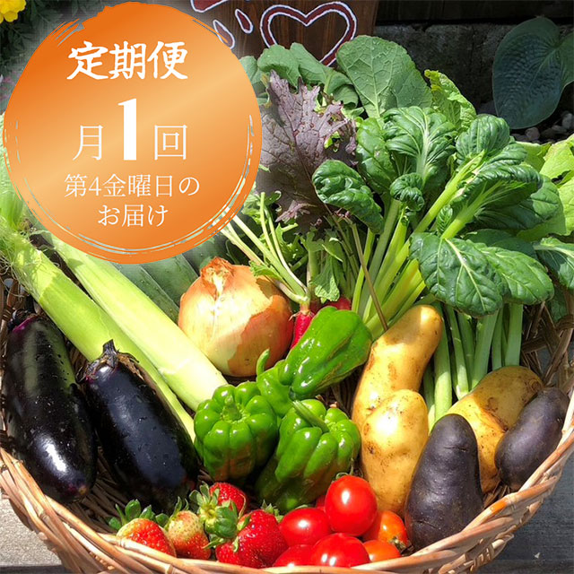 【月1回の定期便】元気になる旬の有機お野菜セット《栃木県塩谷町産》