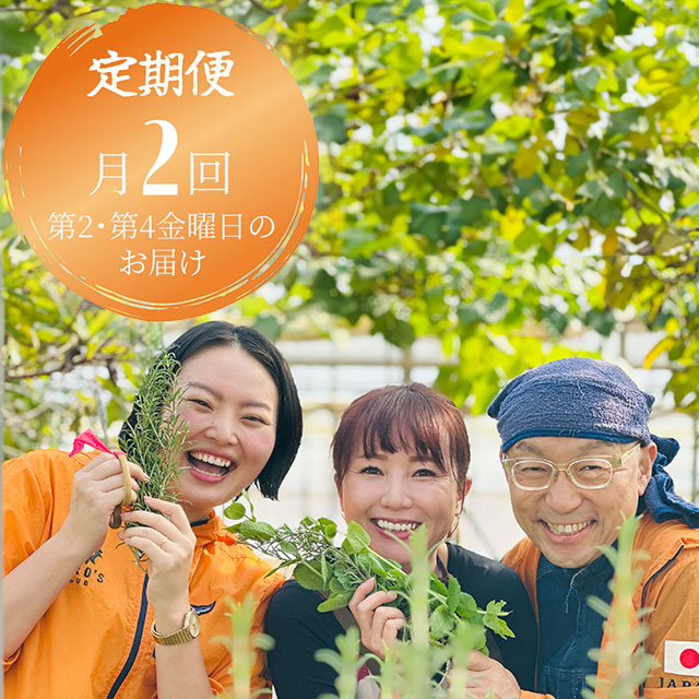 【月2回の定期便】元気になる旬の有機お野菜セット《栃木県塩谷町産》