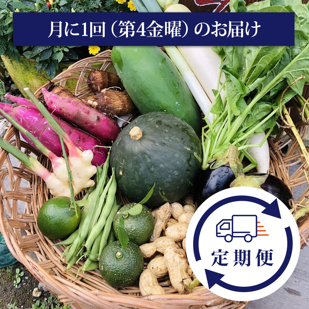 【月1回の定期便】元気になる旬の有機お野菜セット《栃木県塩谷町産》