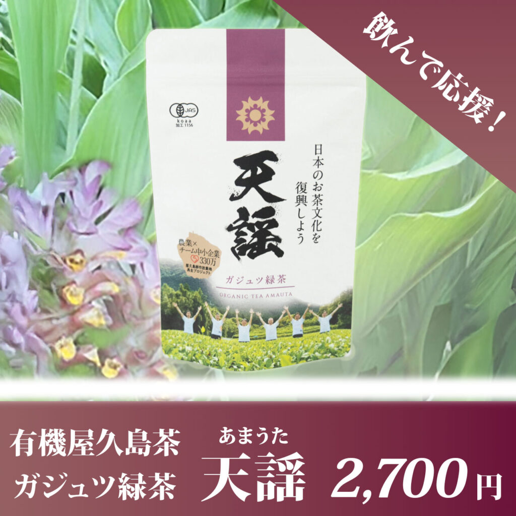 飲んで応援！ガジュツ緑茶1つ：2700円（税込）